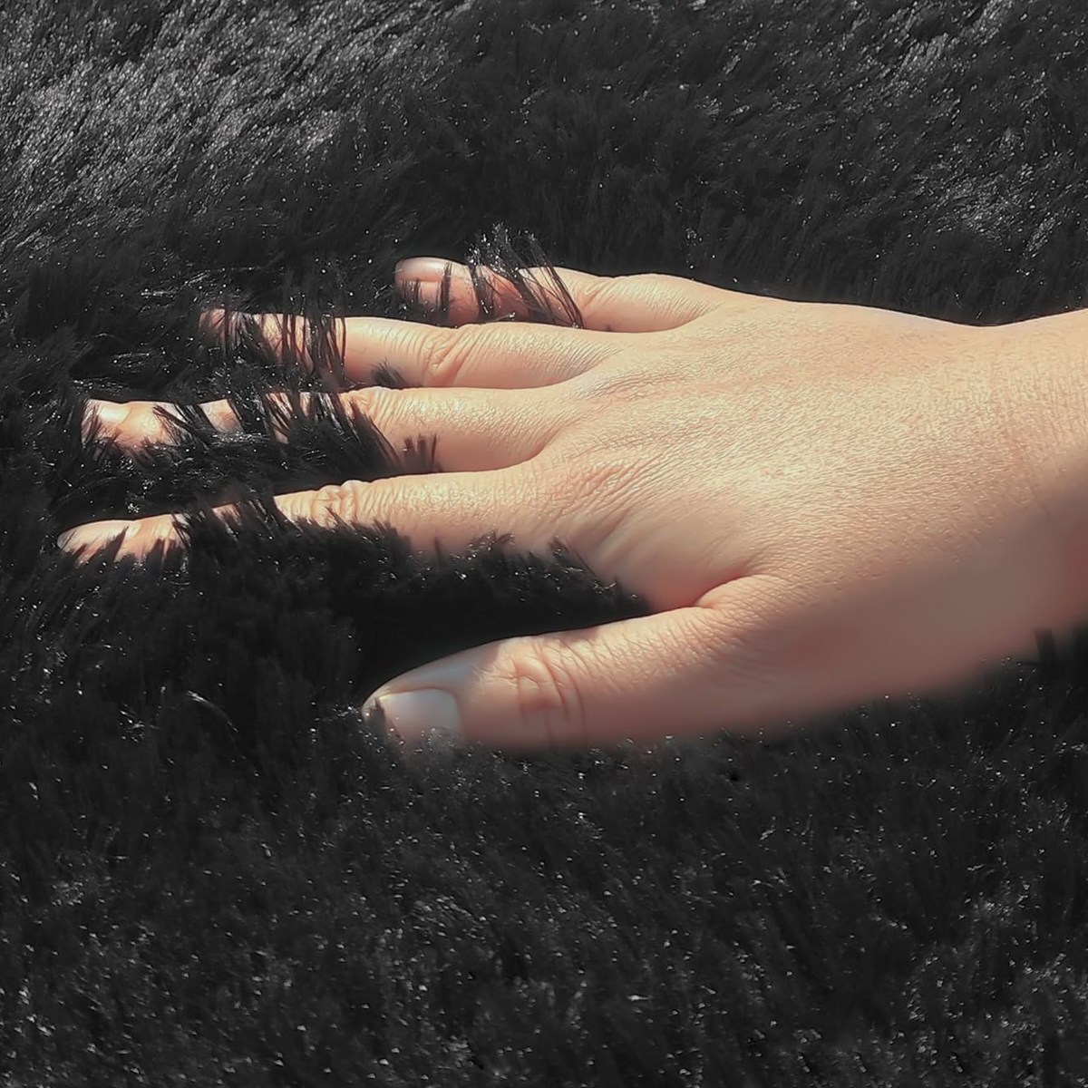 Tapete 4,00x2,00 Peludo Felpudo Sala E Quarto Cores Preto